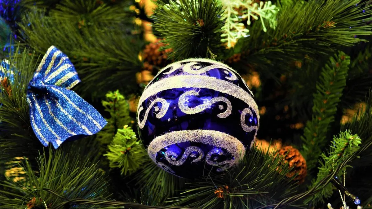 Фото: pxhere.com