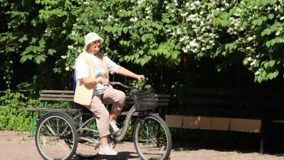 Фото: vk.com/ГБУСО МО КЦСОР «Домодедовский»