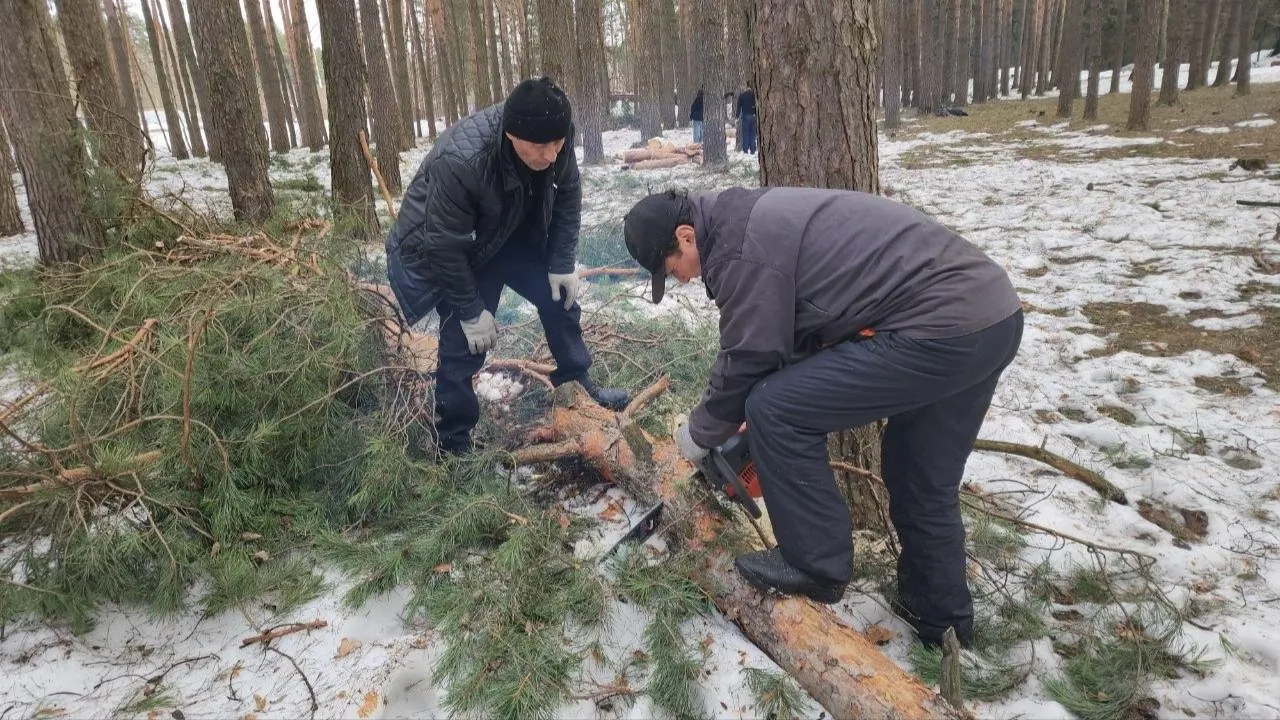 МедиаБанк Подмосковья/Эдуард Стратонов