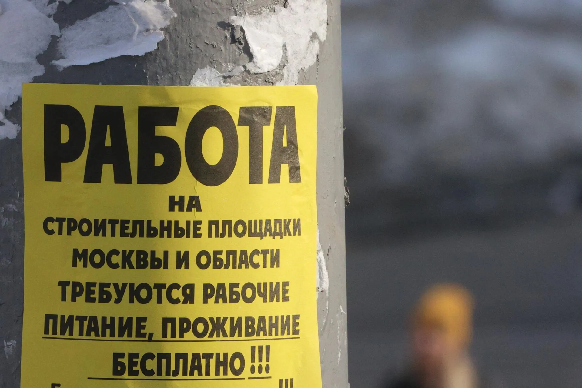 Alexey Belkin/Business Online