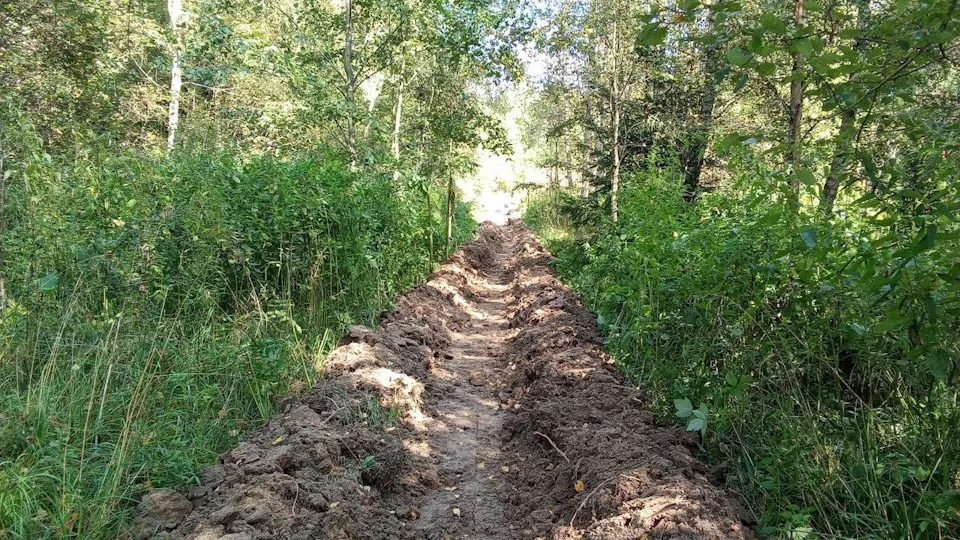 Фото: Комитет лесного хозяйства Московской области
