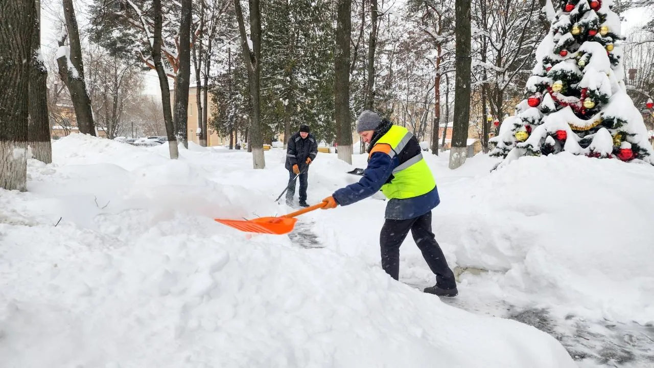 REGIONS/Мария Андрюхина