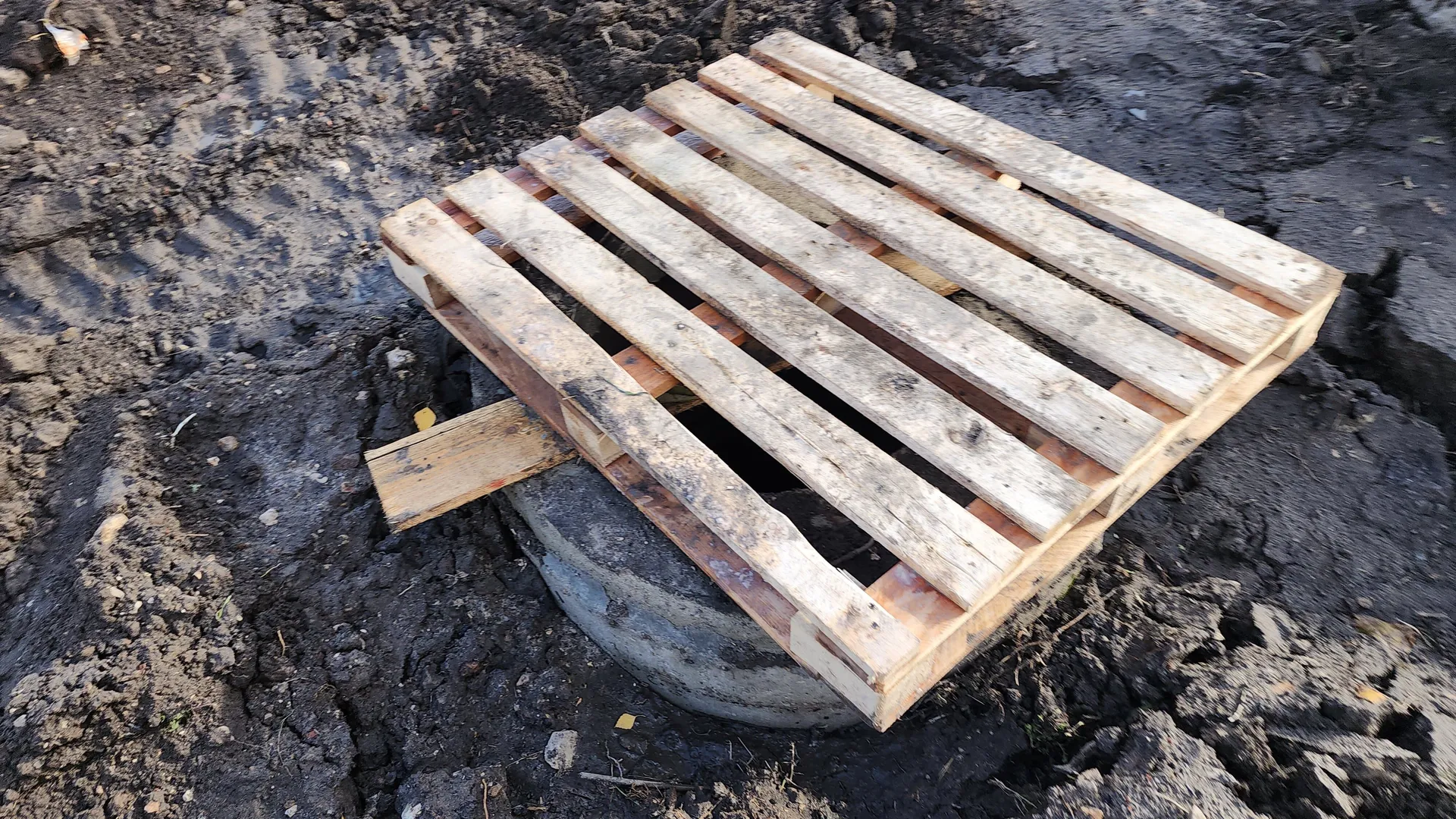 Фото: МедиаБанк Подмосковья/Александр Степушкин