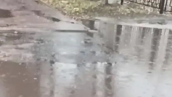 Скриншот из видео Telegram-канала "Мои Люберцы"