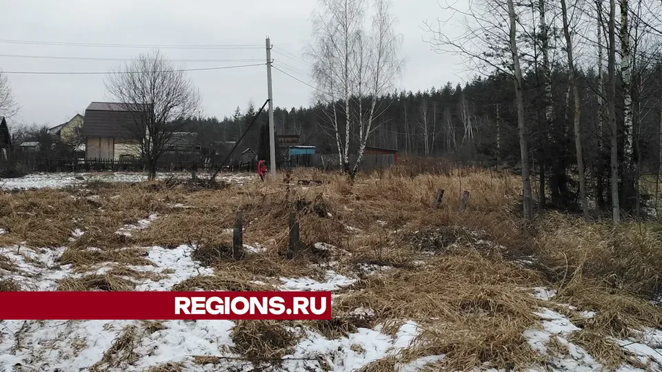 Фото: REGIONS/Василий Тремасов