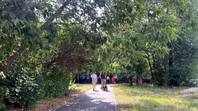 Фото: пресс-служба Администрации г.о. Серпухов