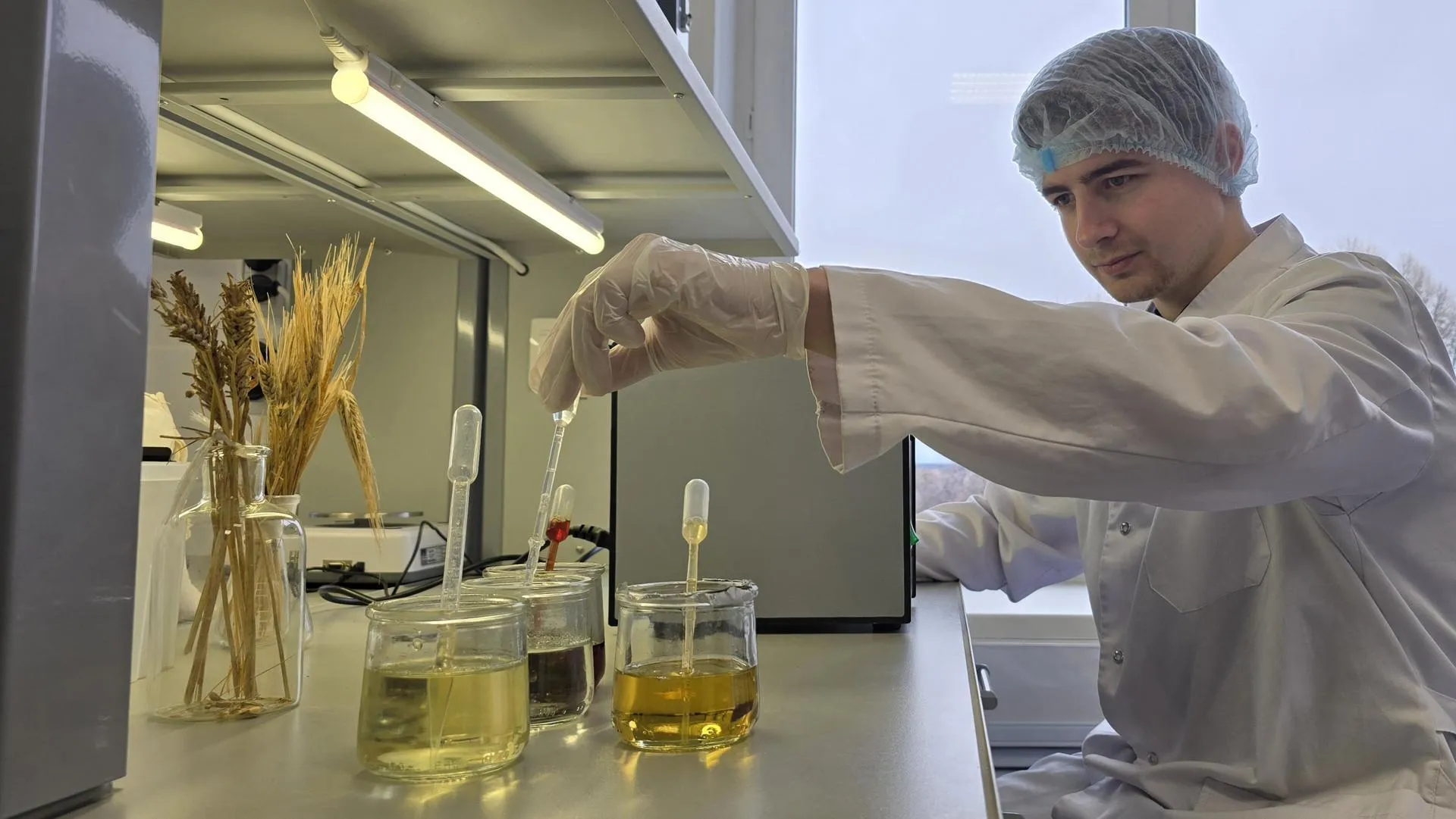 МедиаБанк Подмосковья/Марина Анисимова