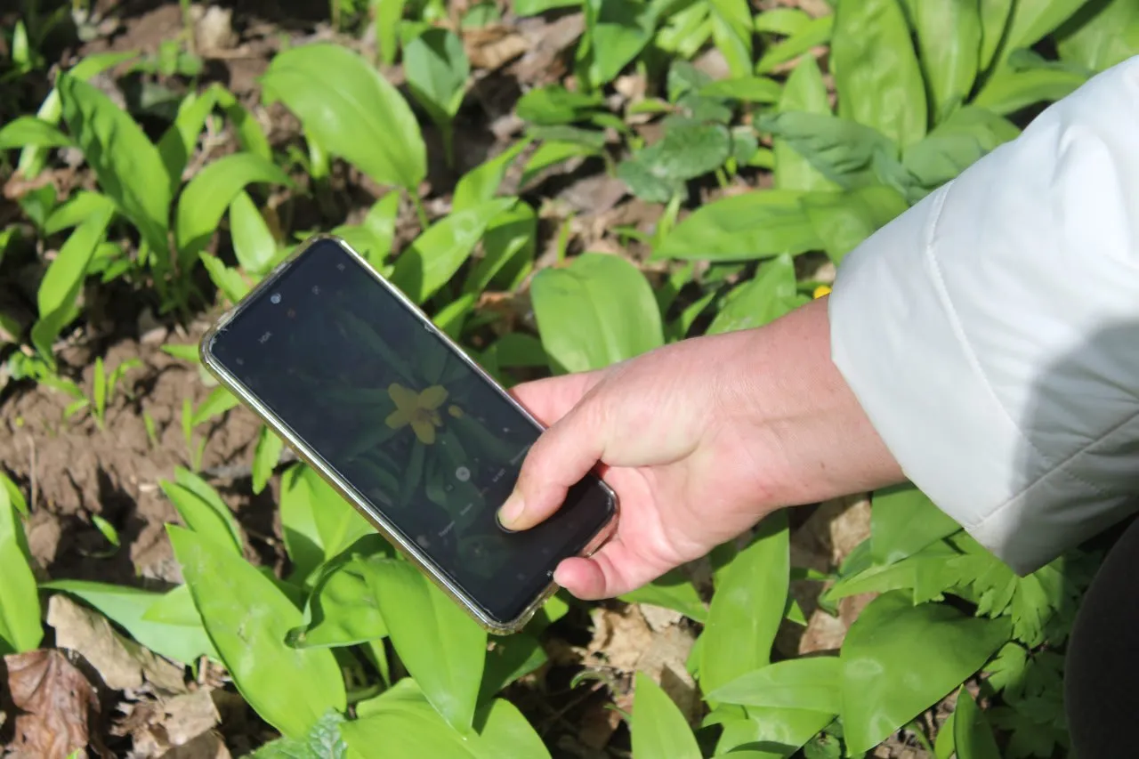 Фото: КЦСОиР «Серебряно-Прудский»