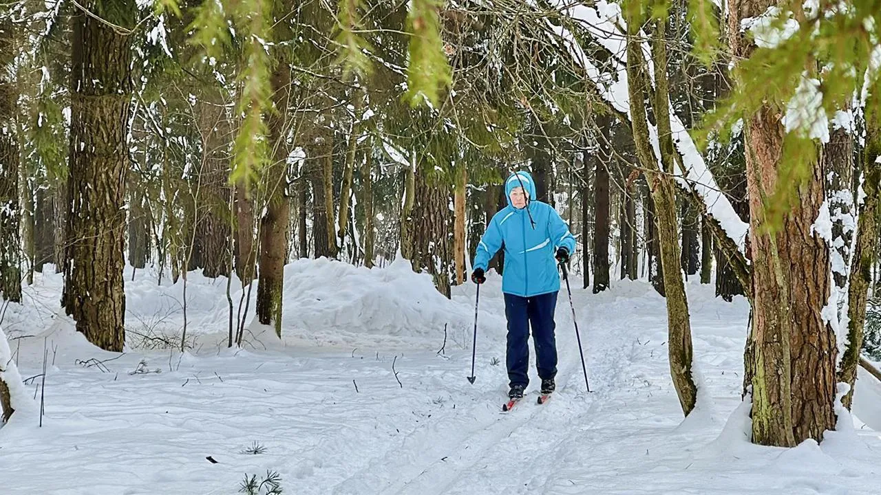 Фото: Медиабанк Подмосковья/Кристина Тришина
