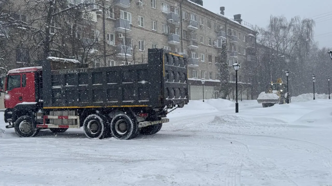 Виктория Фортуна