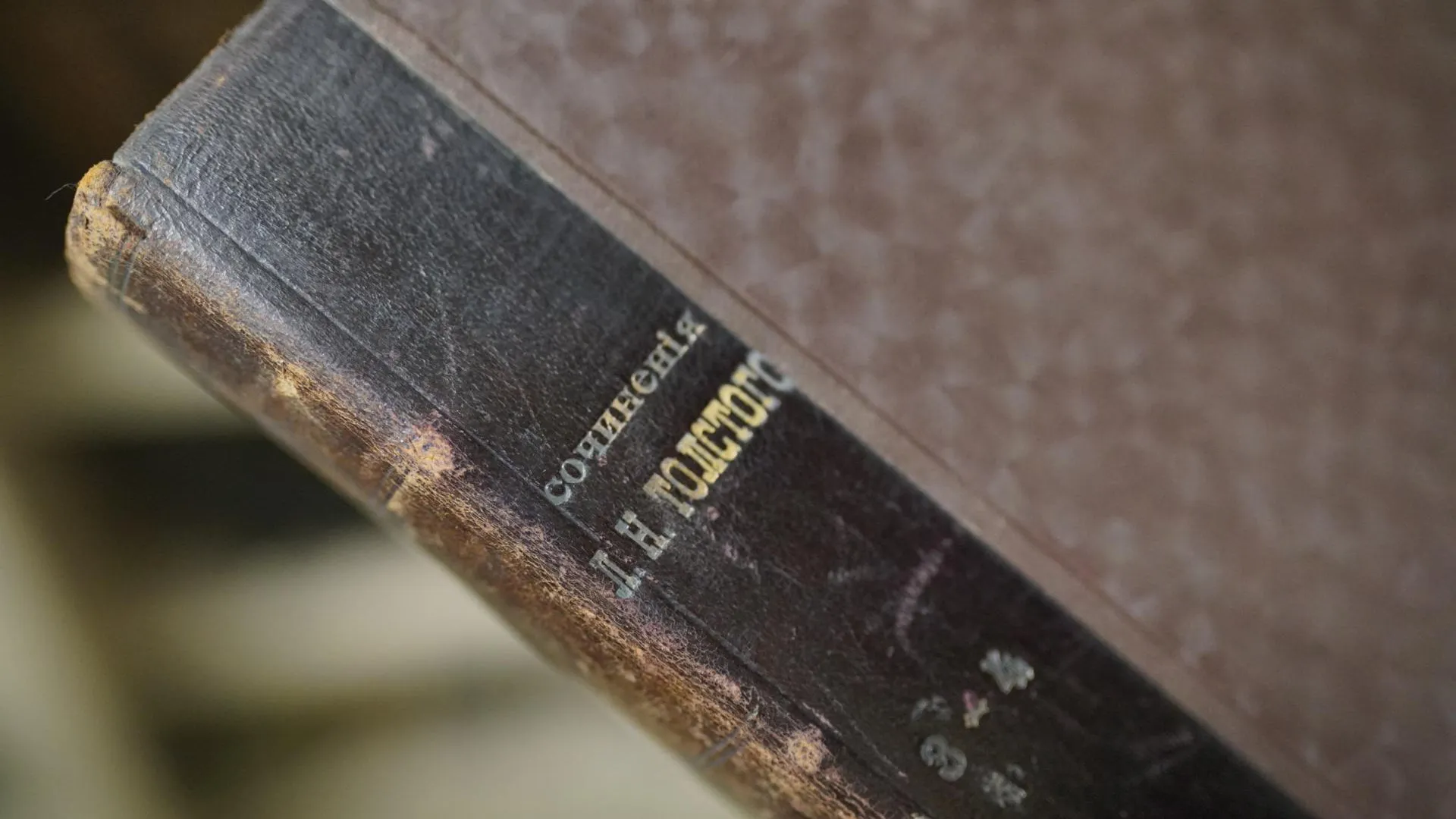 Фото: Виталий Сид