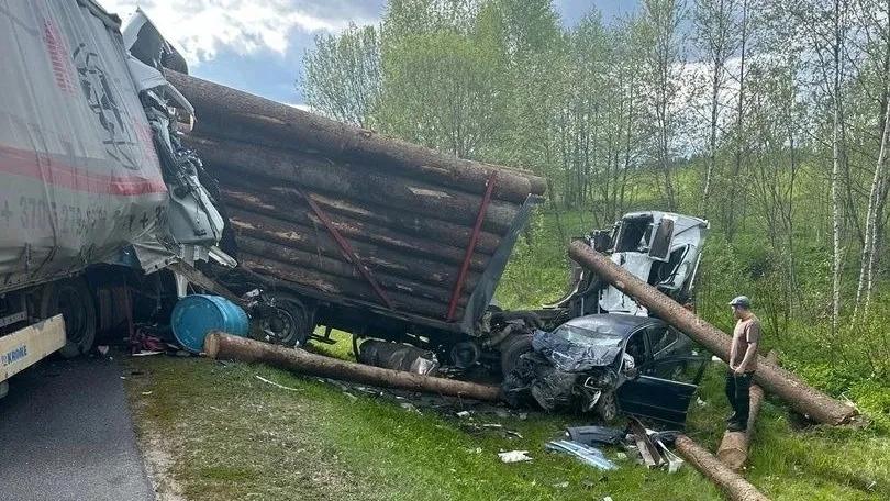 Фото: t.me/volokolamsk8