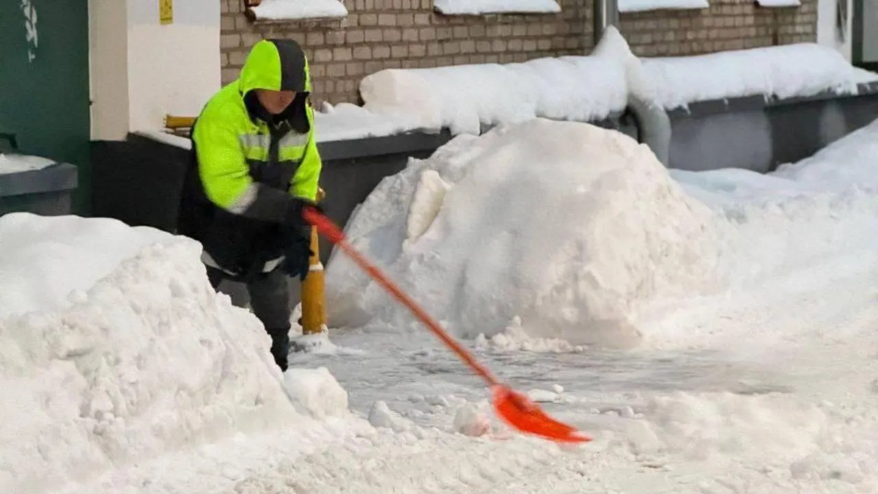 Показатели ежедневной уборки дворовых территорий Подмосковья составили 90%
