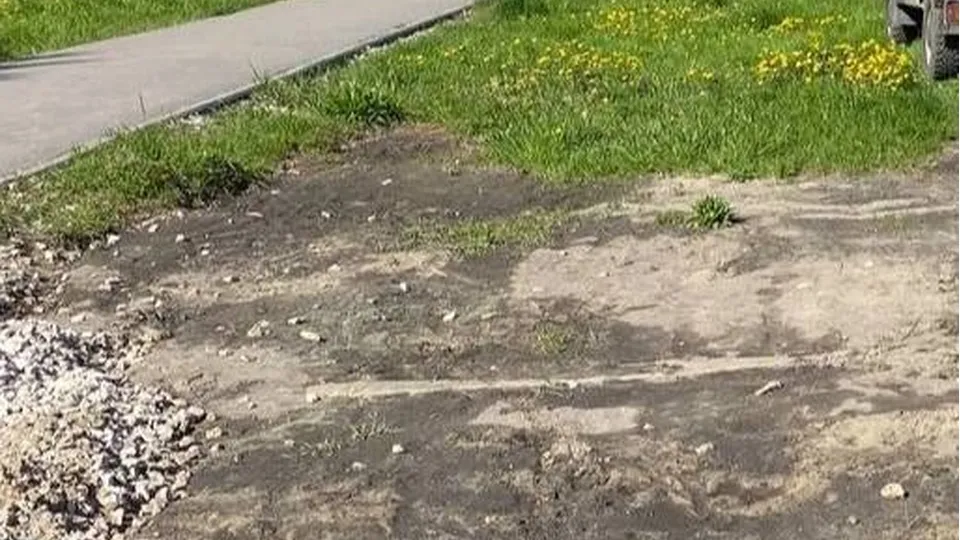 Фото: пресс-служба администрации Орехово-Зуевского г.о.