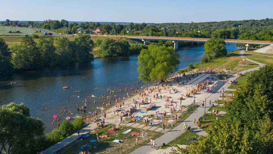 Фото: пресс-служба губернатора и правительства Московской области
