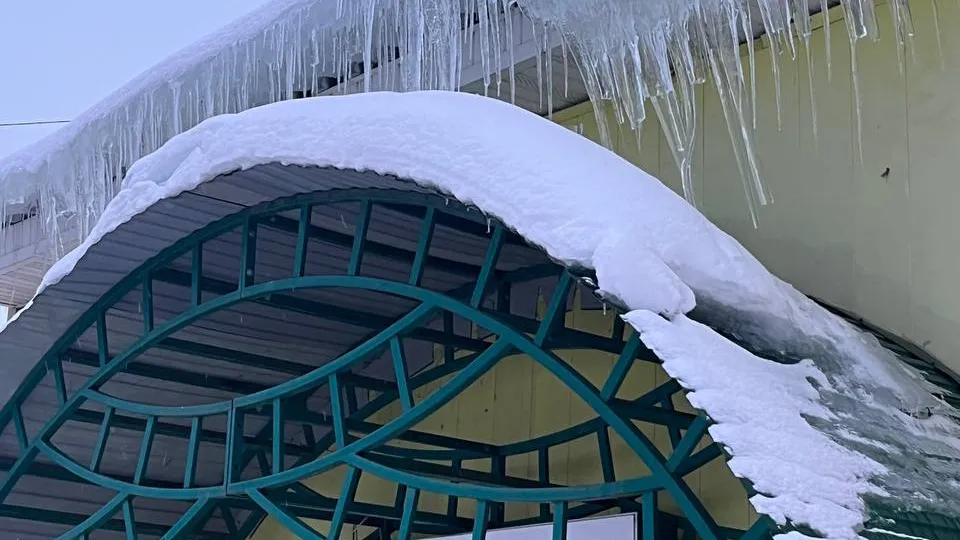 Фото: Елена Сафонова