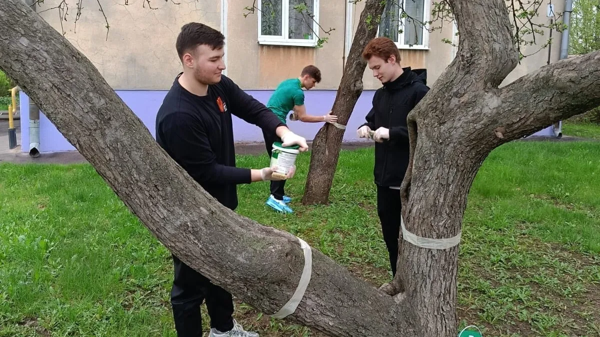 Фото: ВК-сообщество школы №2 им. Тимофеева