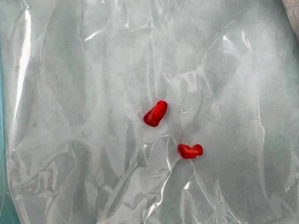 Фото:&nbsp;ДКЦ им. Л.М. Рошаля