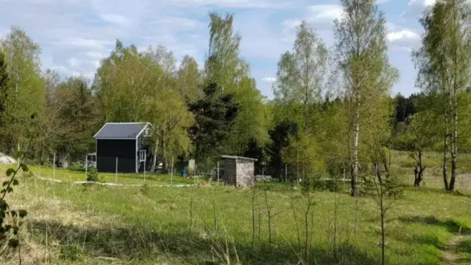 Фото: Единый портал торгов ЕАСУЗ