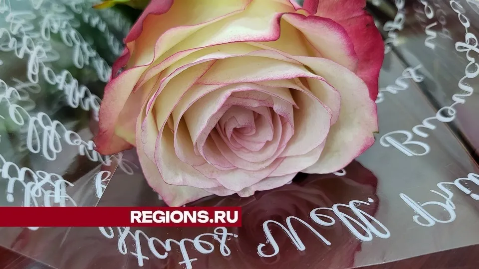 Фото: REGIONS/Александр Дрожжин