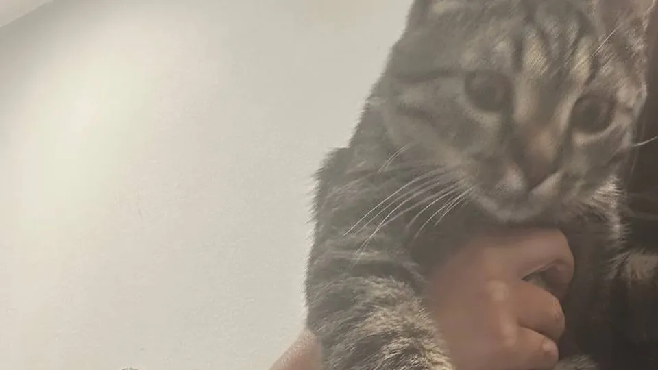 Фото: очевидцы происшествия