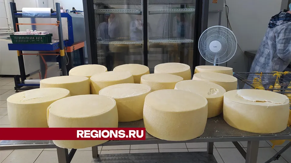 Фото: REGIONS/Елена Катасонова