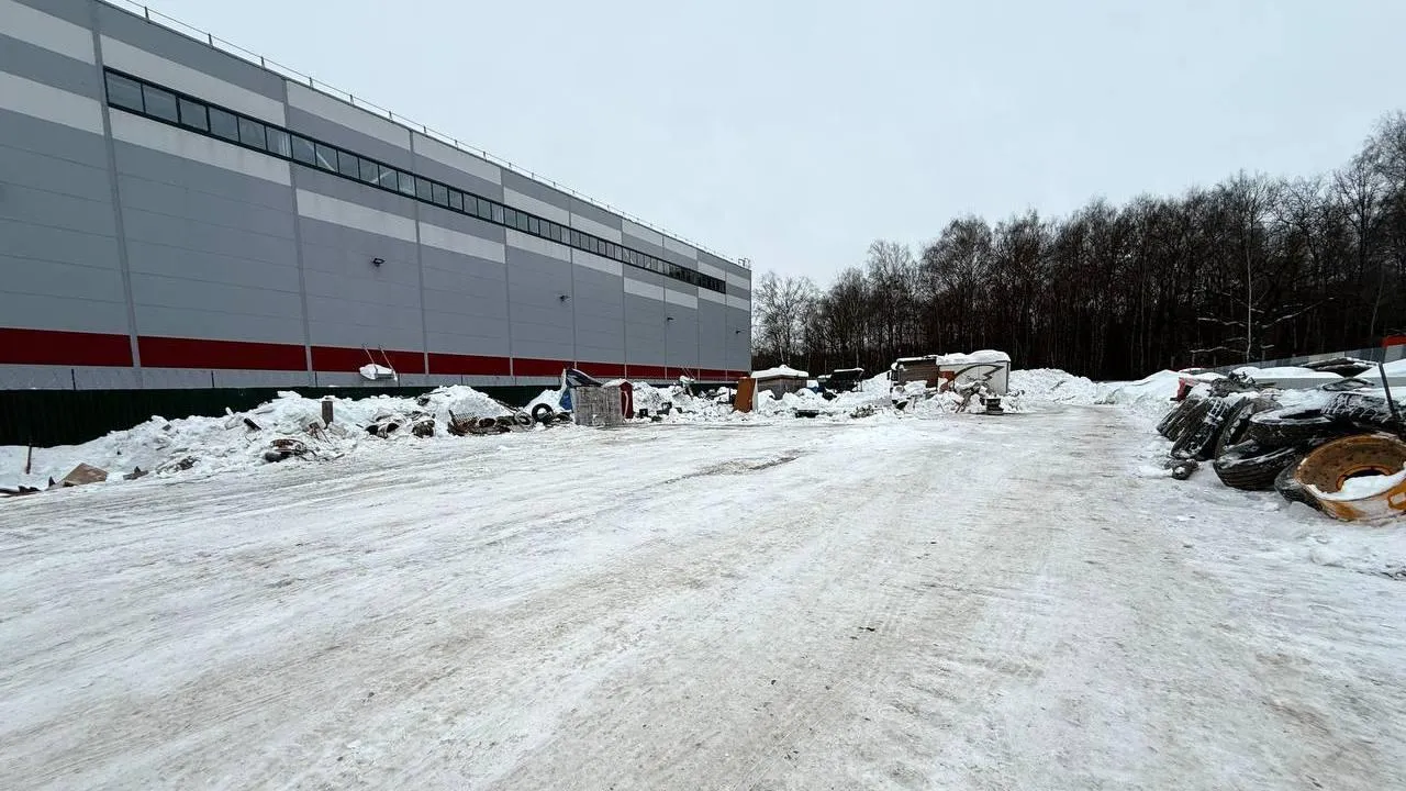 t.me/artsuvorov_live