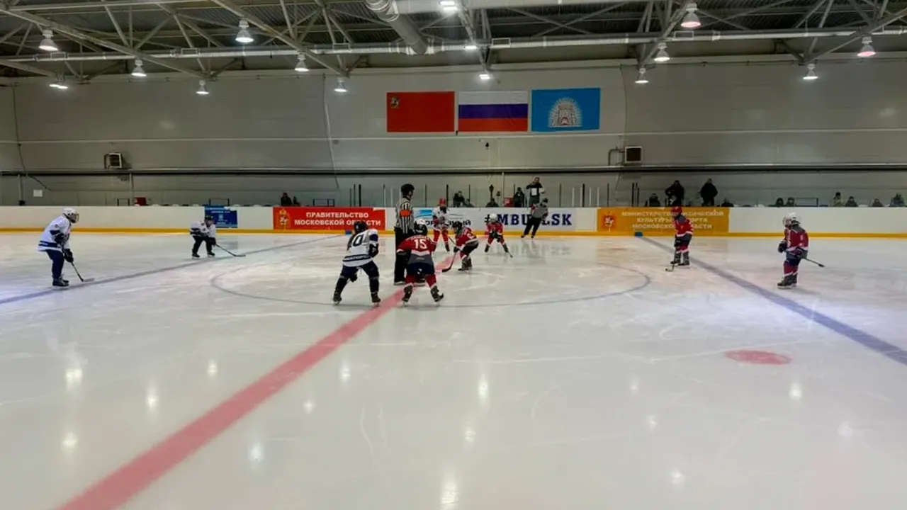 vk.com/МБУ ДО Спортивная школа по хоккею «Зарайск»