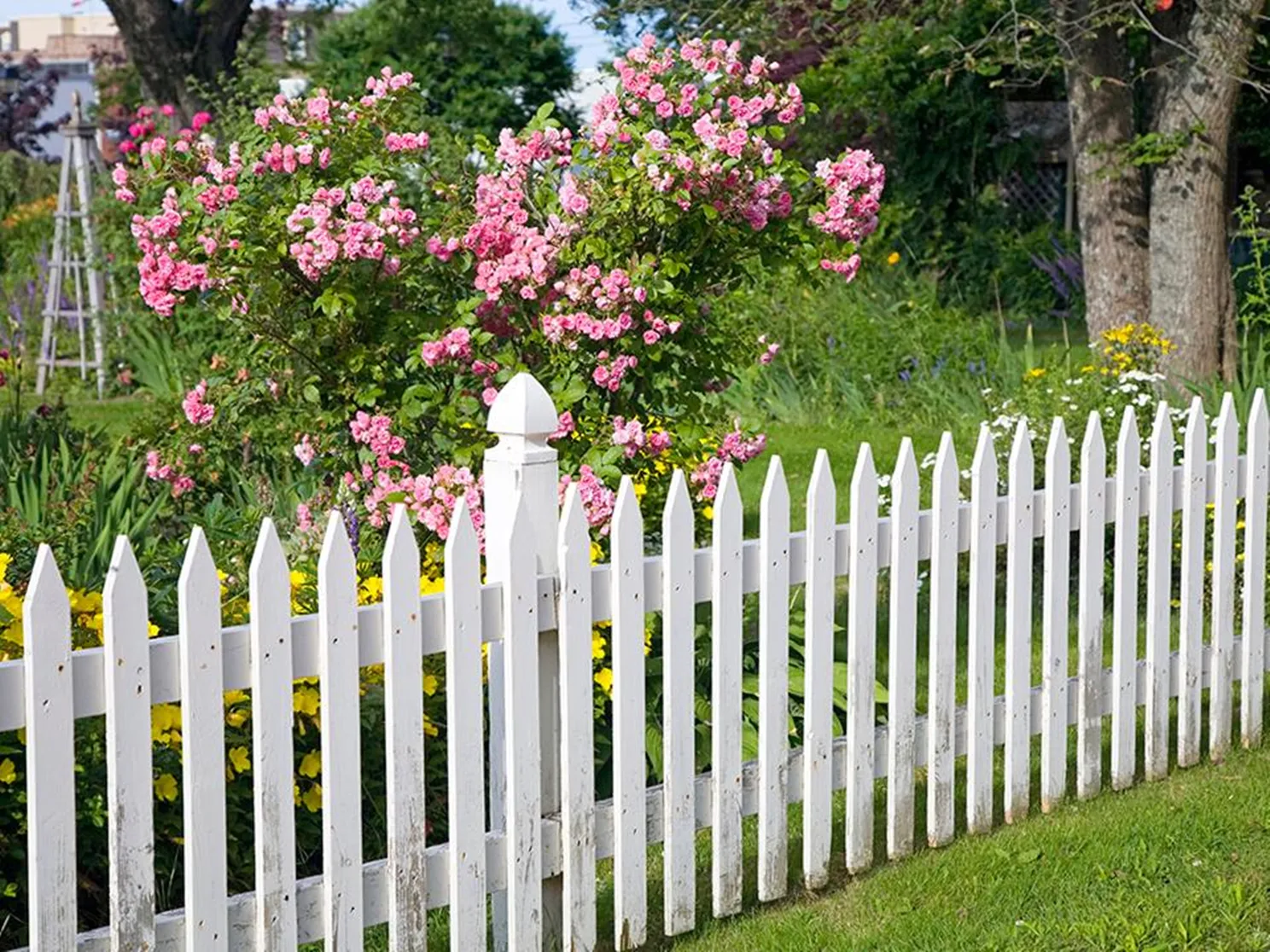 Фото: istockphoto.com