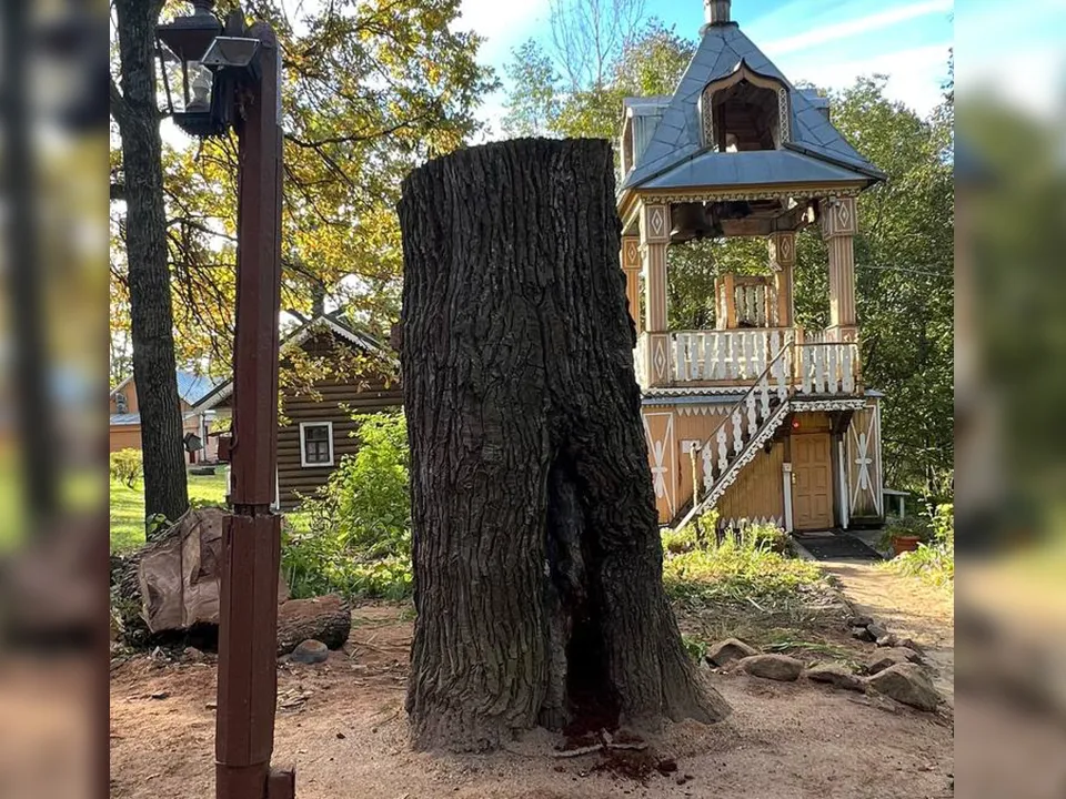 Фото: Михаил Гладышев