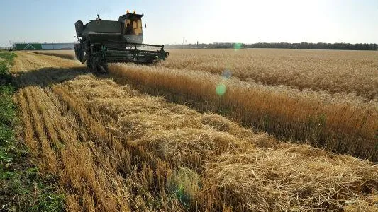 Свыше 800 га земли введено в оборот в Сергиево-Посадском районе