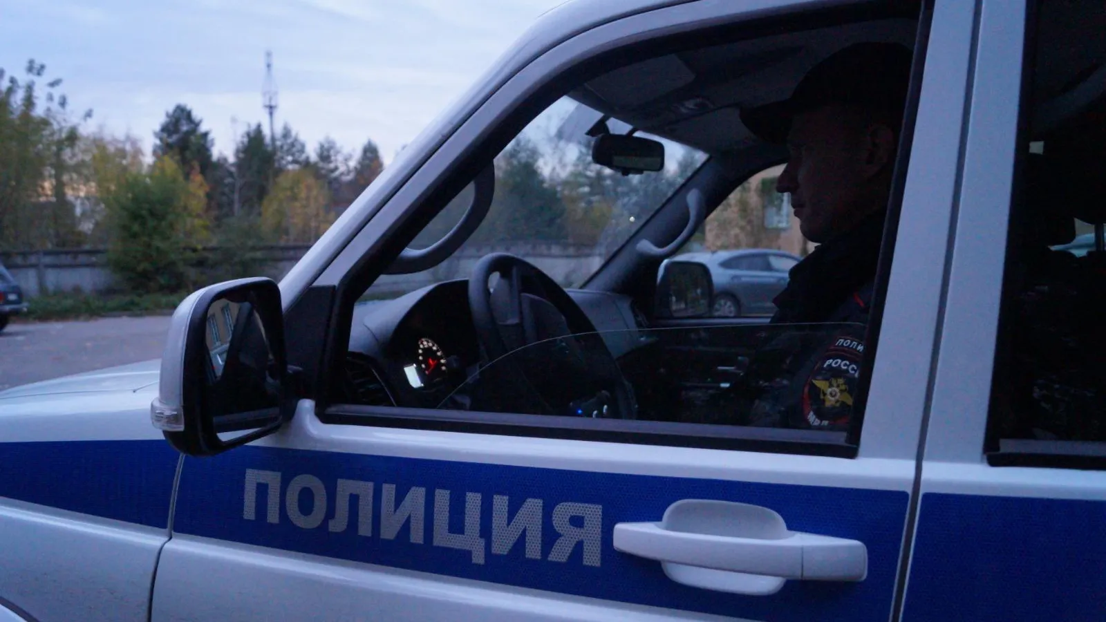 Фото: пресс-служба ОМВД России по Подмосковью