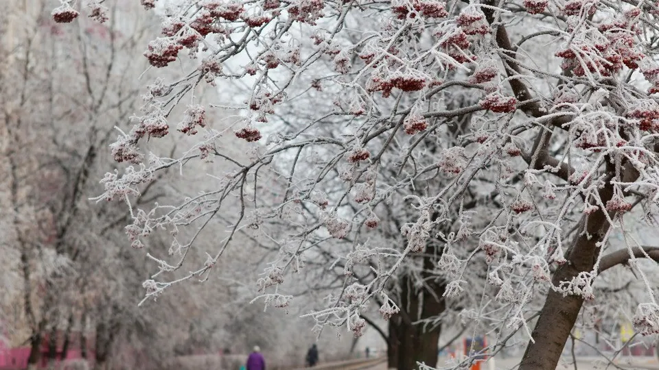 Фото: медиасток.рф