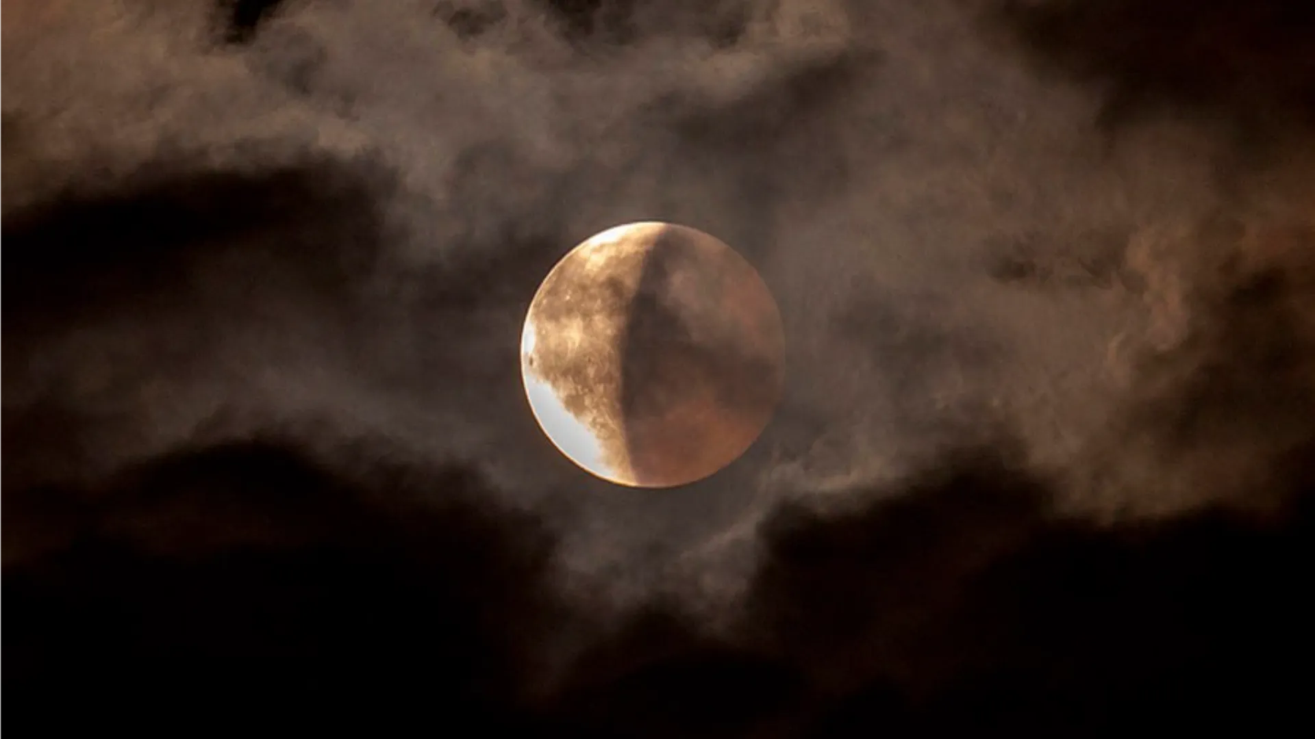 Фото: istockphoto.com/Cocolos Valeriu Octavian