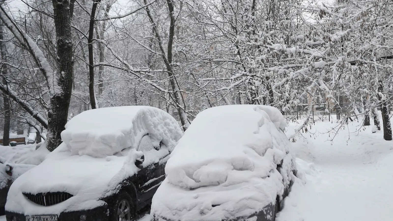 Фото: медиасток.рф