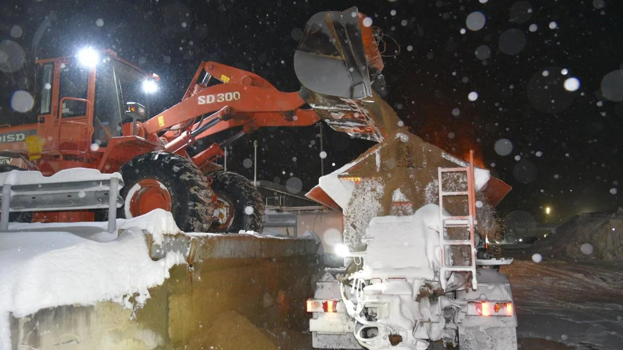 Владимир Останин