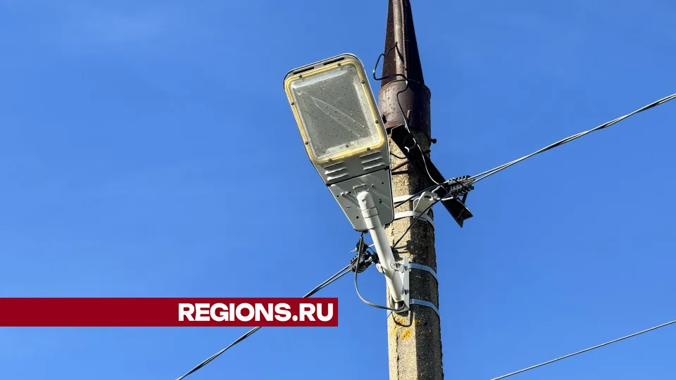 Фото: Татьяна Рунова