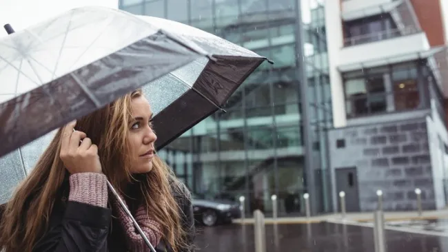 Фото: ru.freepik.com