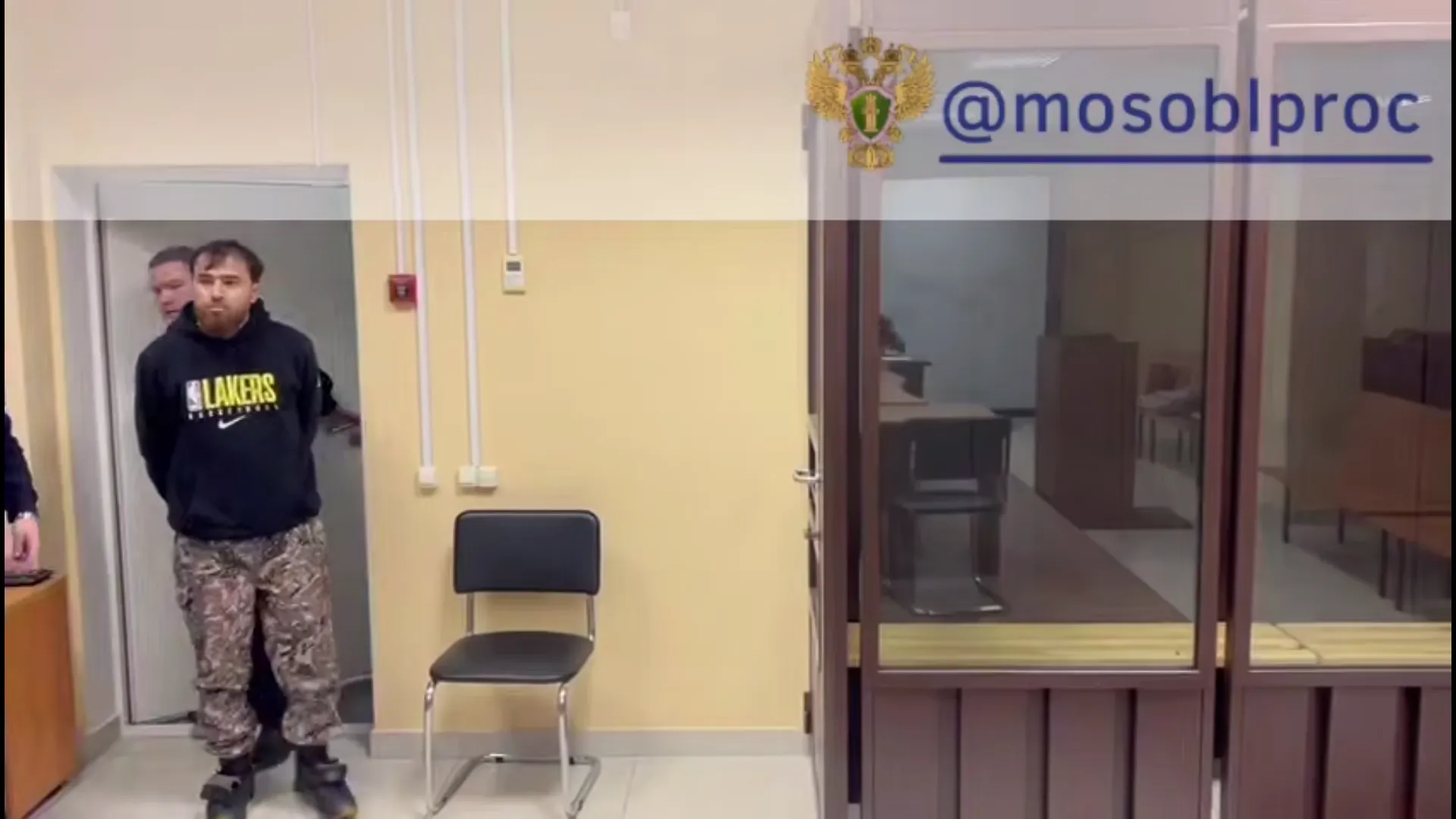 В Подмосковье направили в суд дело мужчины об истязании и убийстве дочери