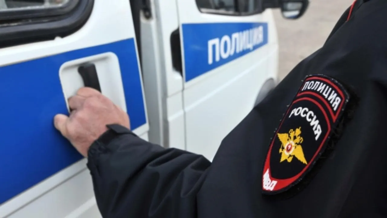Кражу почти тридцати памятников и гранитных плит с кладбища раскрыли полицейские в Звенигороде