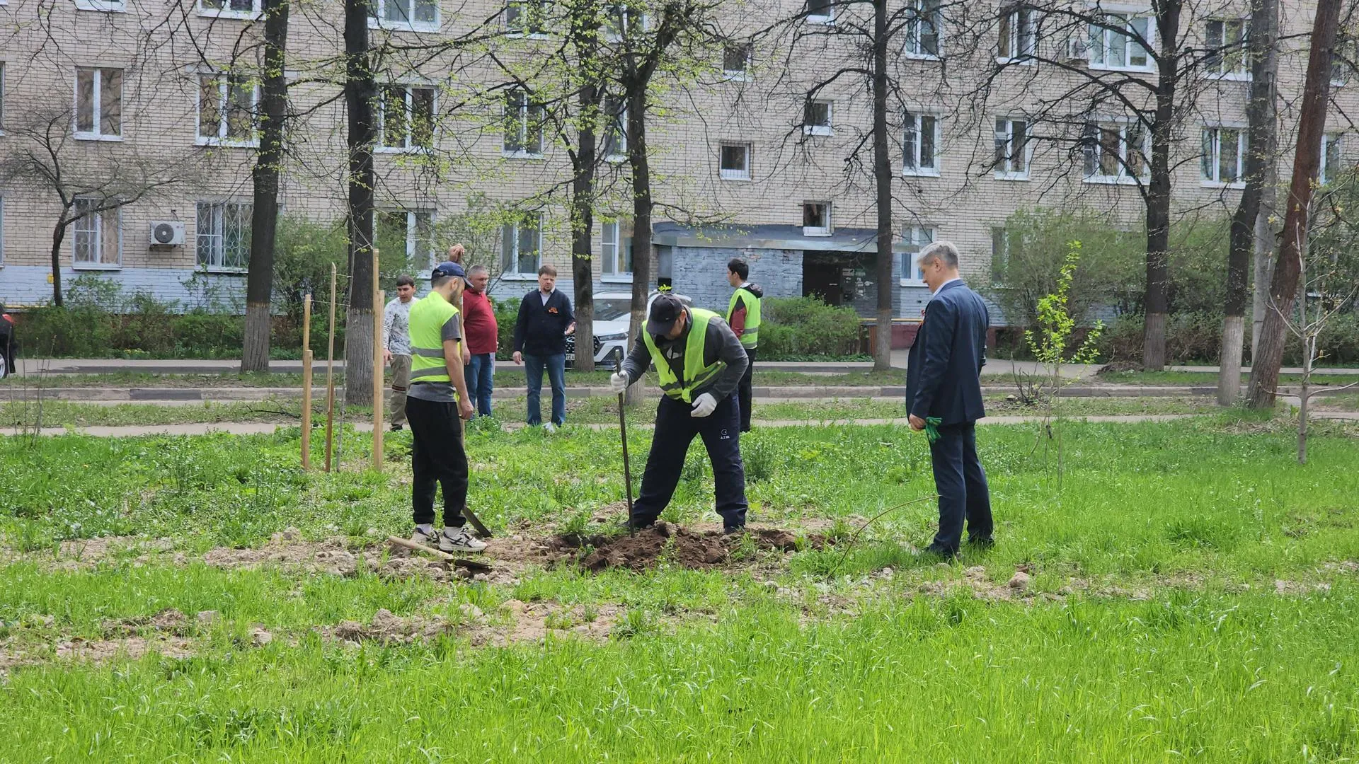 Картинка
