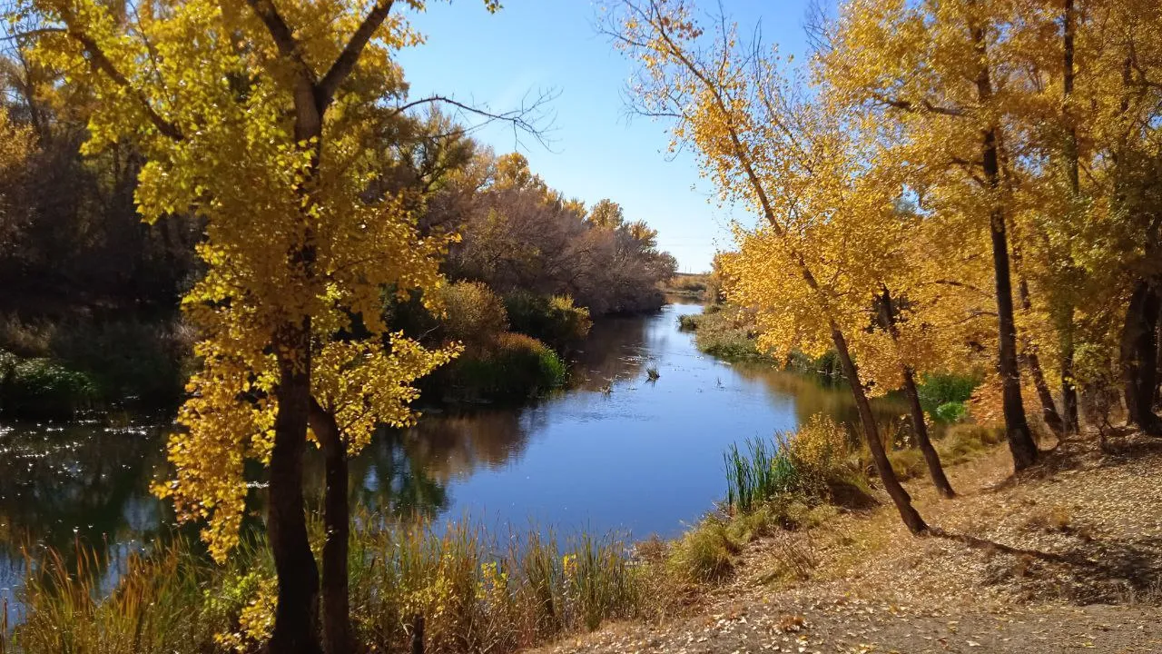 Фото: REGIONS/Елена Фурман