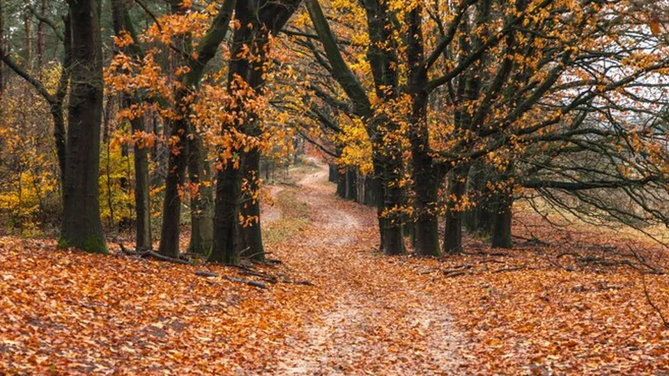 Фото: freepik.com