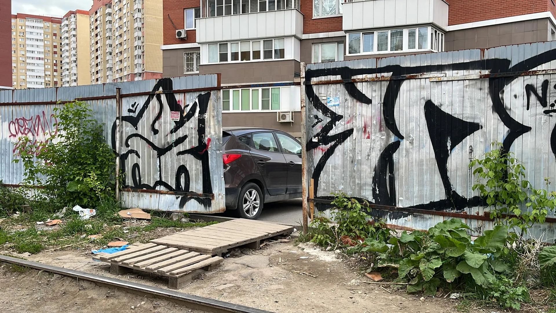 Фото: Елизавета Приймак