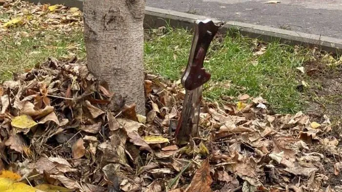 Фото: соцсети