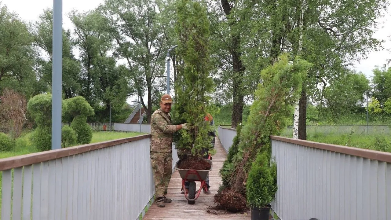 Фото: пресс-служба администрации ВГО