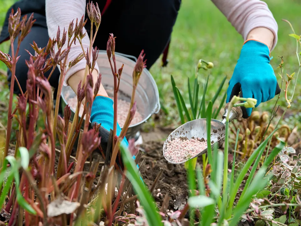 Фото: istockphoto.com