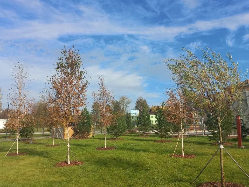 Фото: REGIONS/Олег Книжник