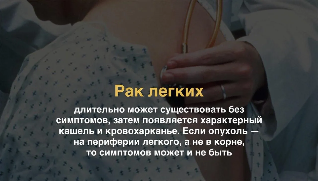 Коллаж: Unsplash