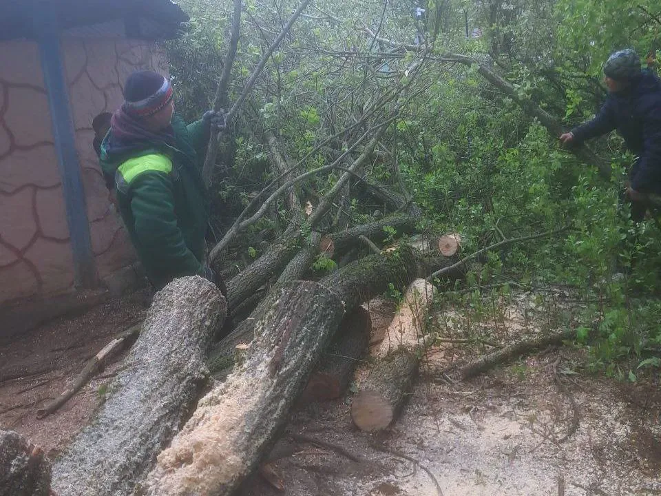 Фото: администрация г.о. Краснознаменск